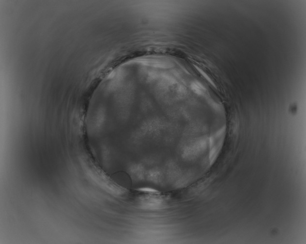 X0000116590661200912312037