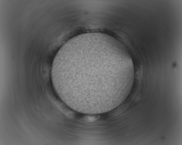 X0000116590662200912312037