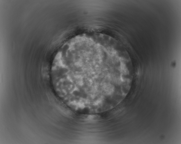 X0000116590663200912312037