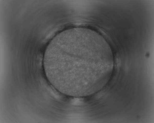 X0000116590664200912312037