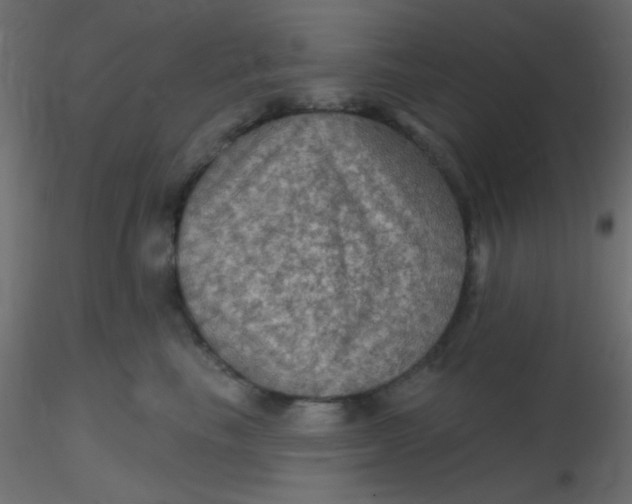 X0000116590665200912312037