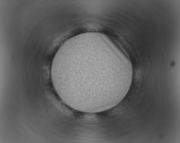 X0000116590666200912312037