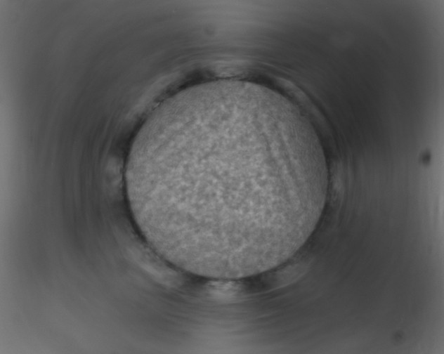 X0000116590667200912312037