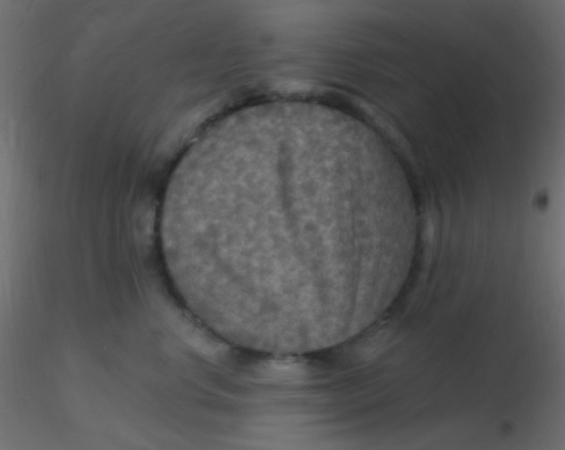 X0000116590668200912312037