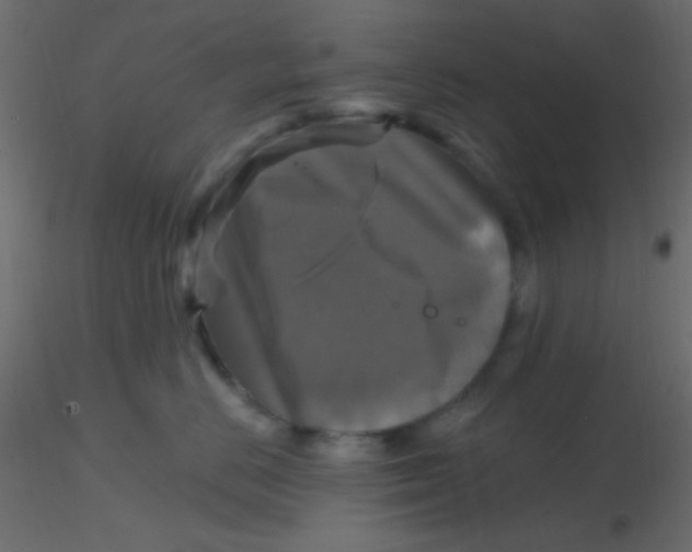 X0000116590670200912312037