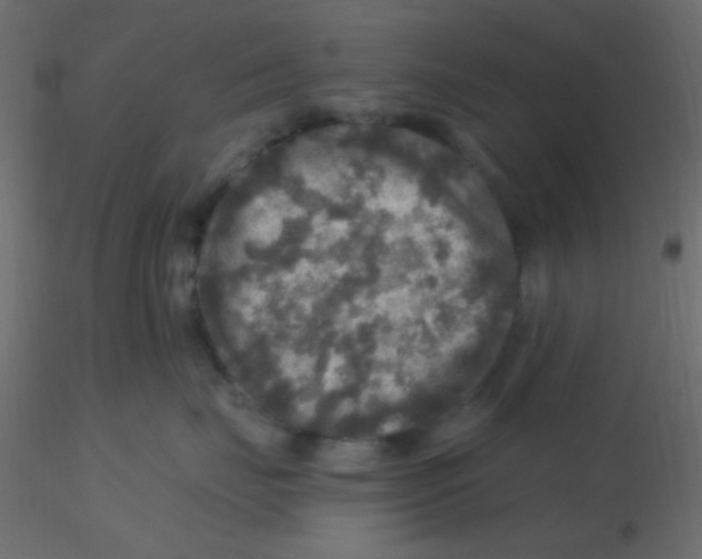 X0000116590671200912312037