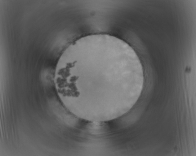 X0000116590672200912312037