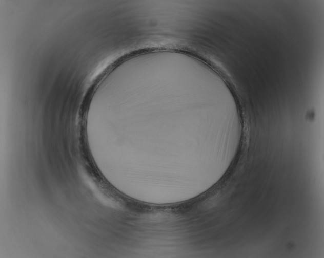 X0000116590674200912312036