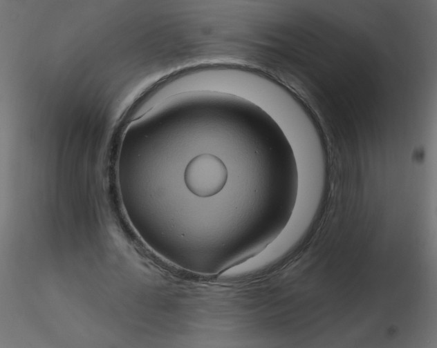 X0000116590676200912312036