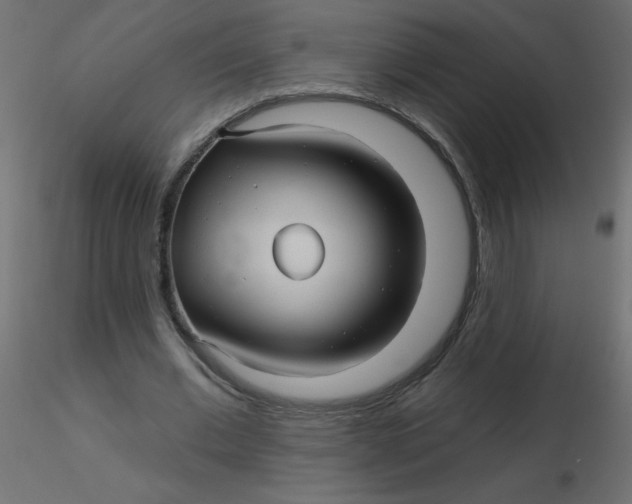 X0000116590677200912312036