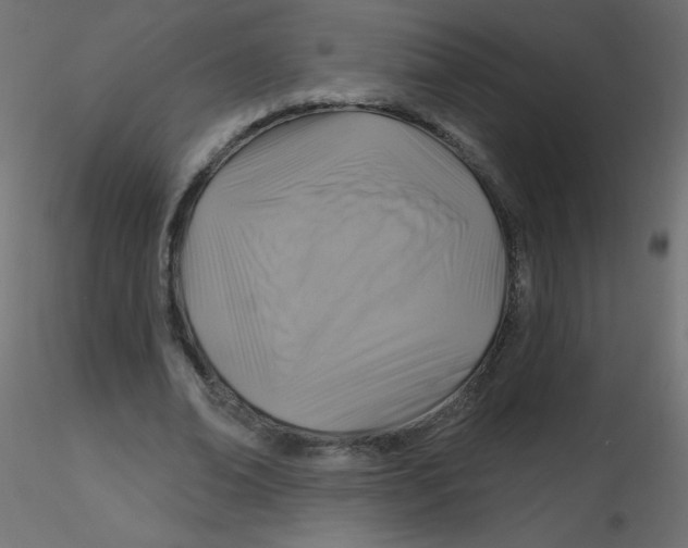 X0000116590678200912312036