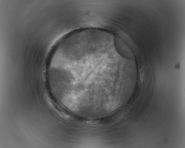 X0000116590680200912312036