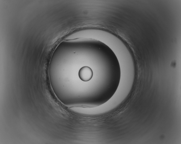 X0000116590681200912312036