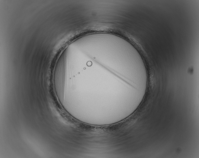 X0000116590682200912312036