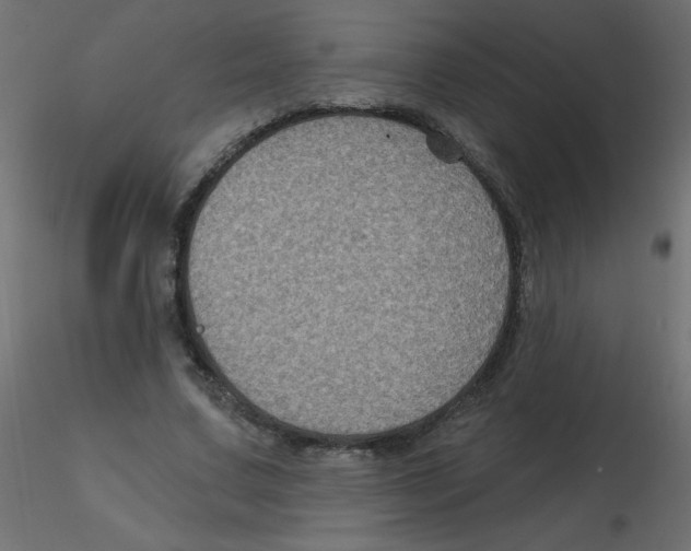 X0000116590683200912312036