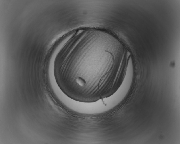 X0000116590684200912312036