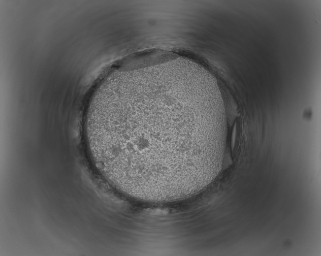 X0000116590687200912312036