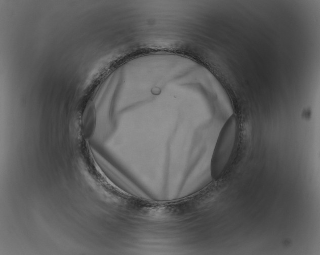 X0000116590688200912312036