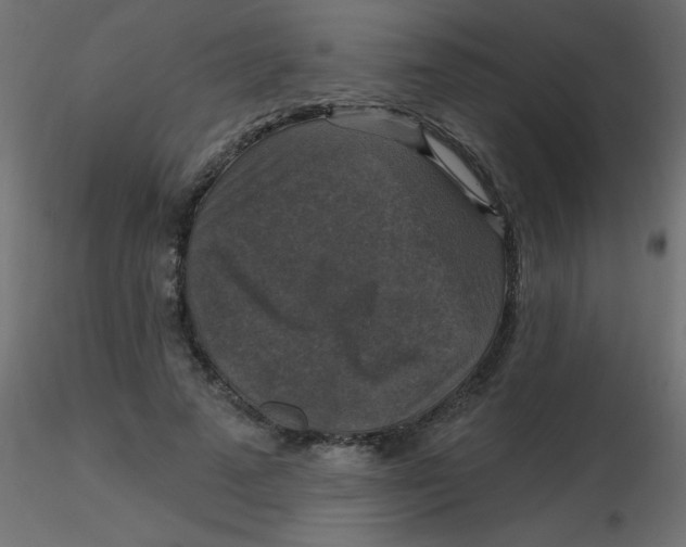 X0000116590689200912312036