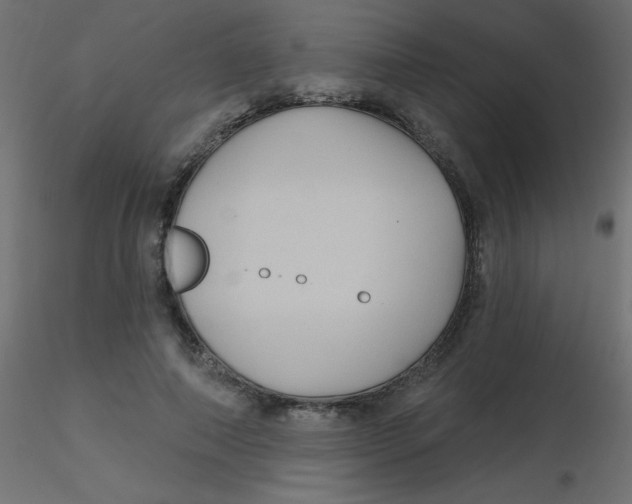 X0000116590690200912312036