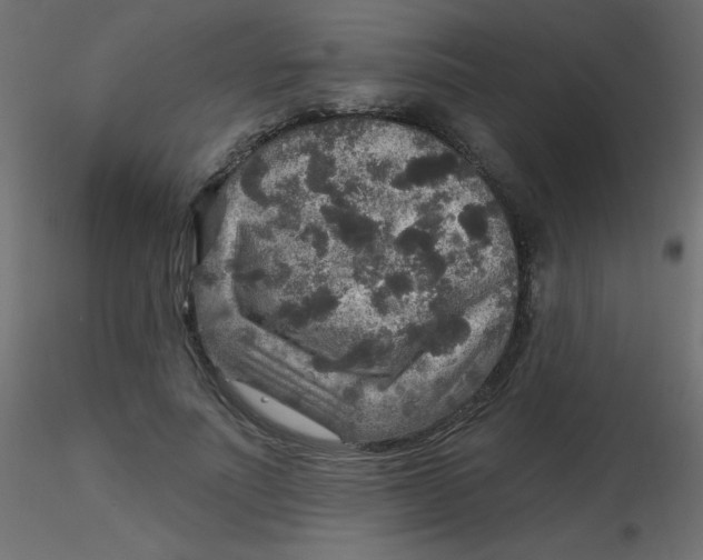 X0000116590691200912312036