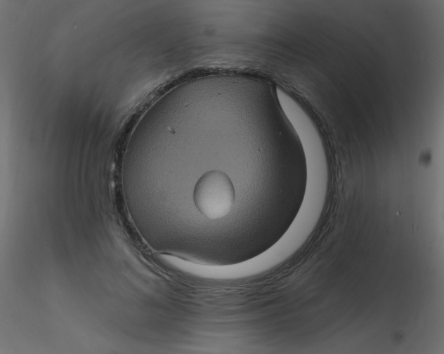 X0000116590692200912312036