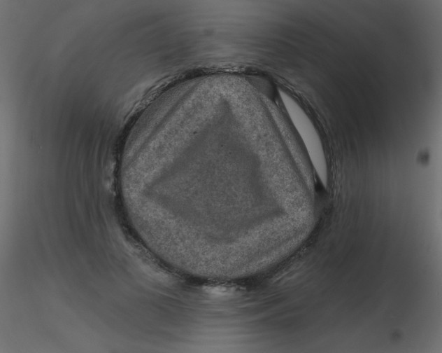 X0000116590693200912312036