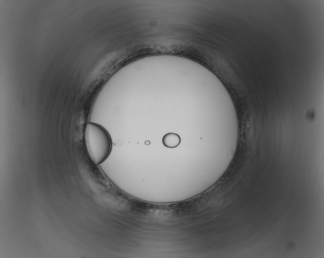 X0000116590694200912312036