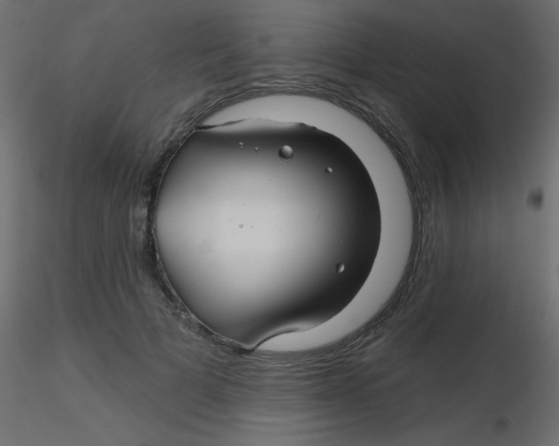 X0000116590697200912312036