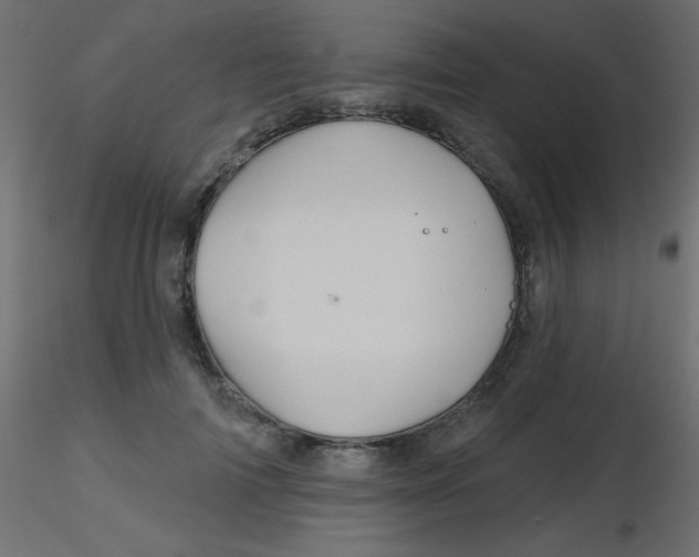 X0000116590698200912312036