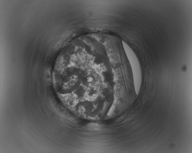 X0000116590699200912312036