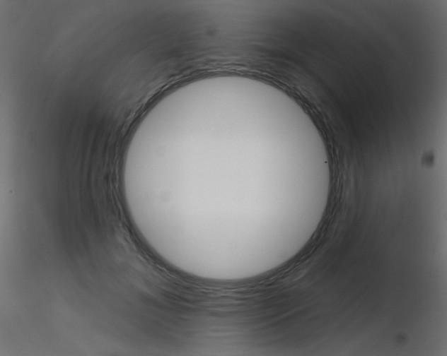 X0000116590700200912312036