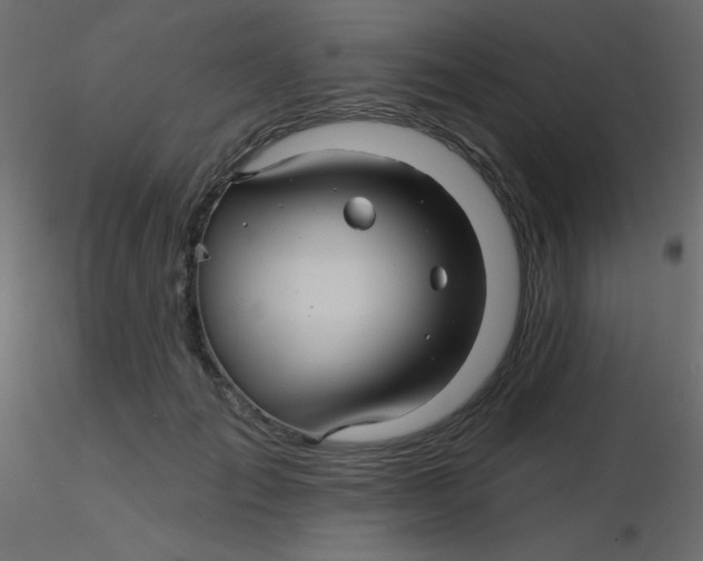 X0000116590701200912312036