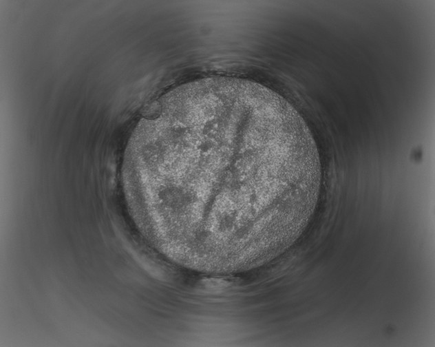 X0000116590703200912312036