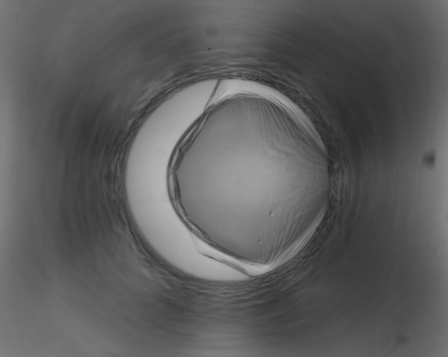 X0000116590704200912312036