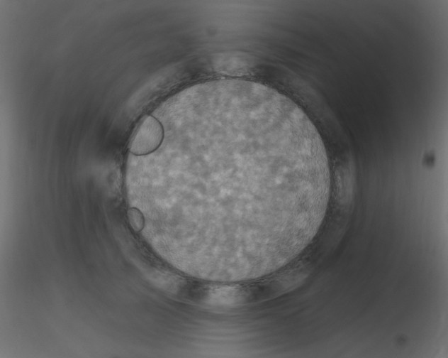 X0000116590705200912312036