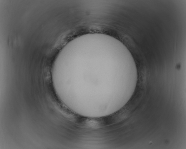 X0000116590706200912312036