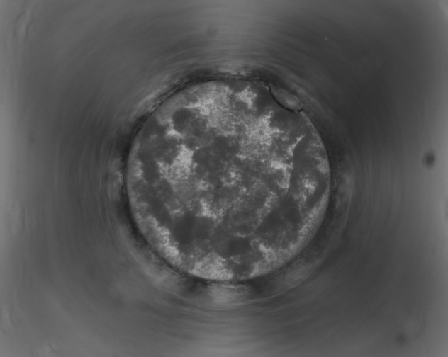 X0000116590707200912312036