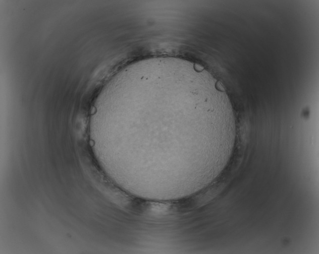 X0000116590709200912312036