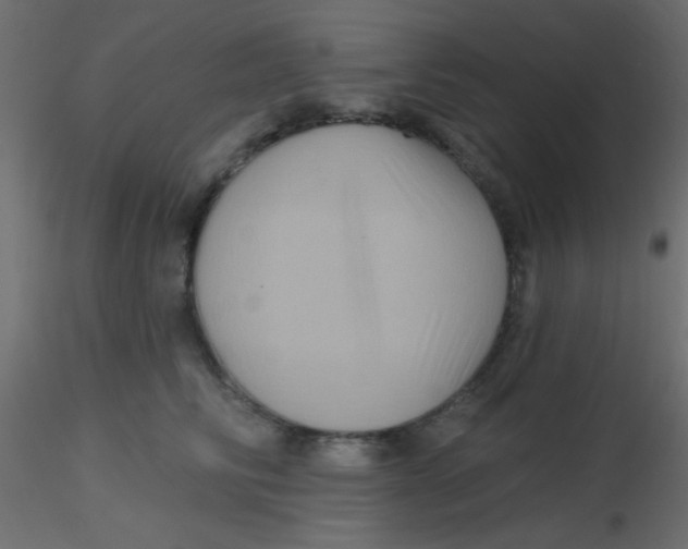 X0000116590710200912312036