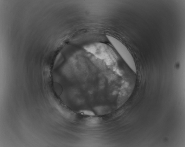 X0000116590711200912312036