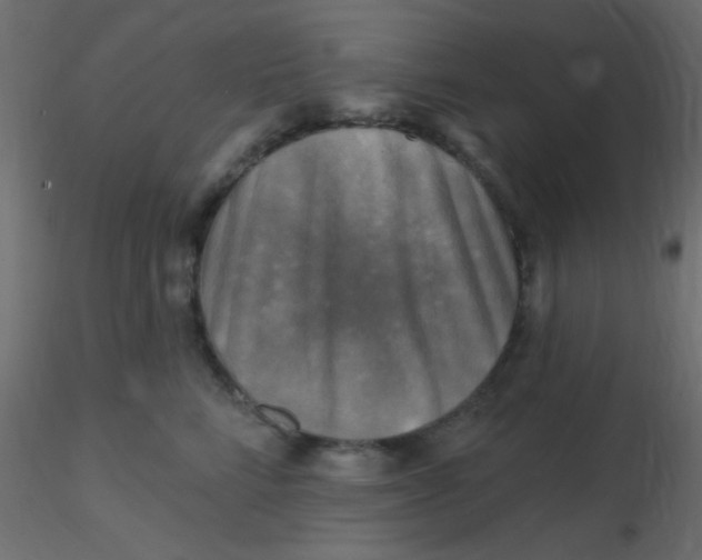 X0000116590712200912312036