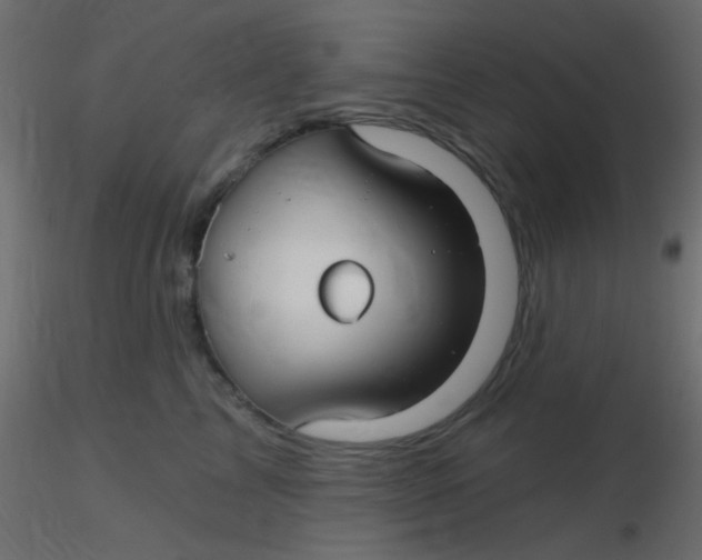 X0000116590713200912312036