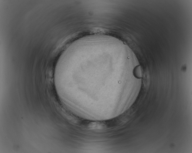 X0000116590714200912312036