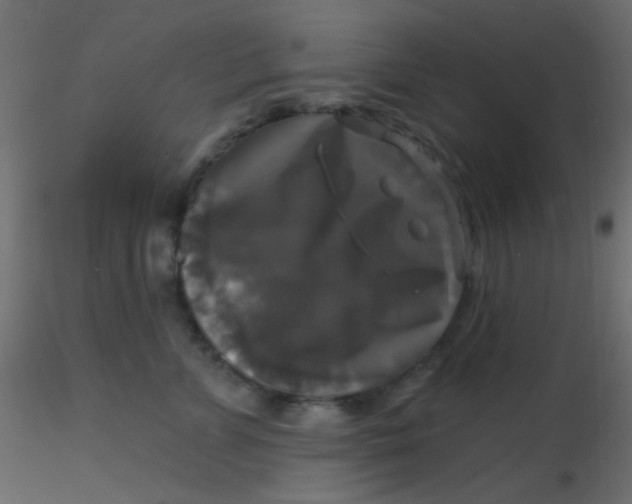 X0000116590715200912312036