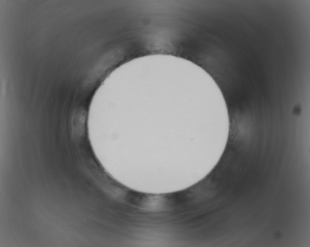 X0000116590717200912312036