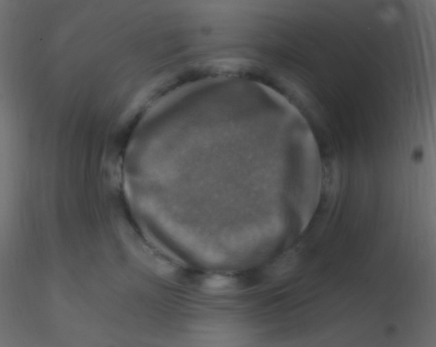 X0000116590718200912312036