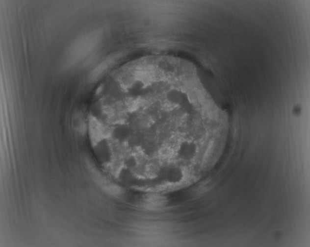 X0000116590719200912312036