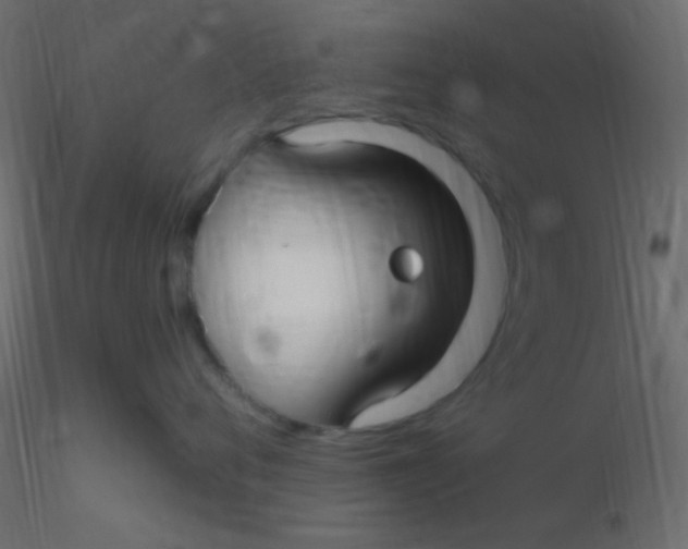 X0000116590720200912312036