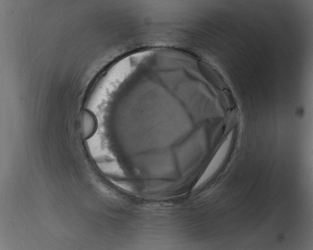 X0000116590721200912312035